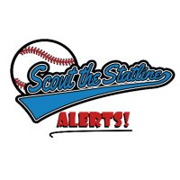 Scout the Statline MiLB HR Alerts!(@milbhralert) 's Twitter Profile Photo