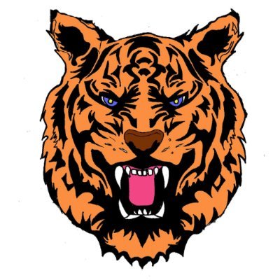 John D. O'Bryant School of Mathematics and Science Athletic Department. 

Go Tigers❗