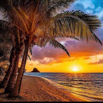 deehootee's profile picture. 