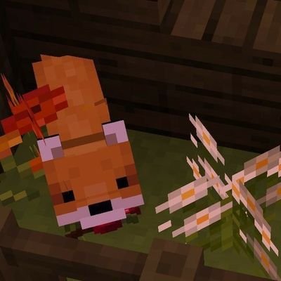 LorenAl99672356's profile picture. 💤