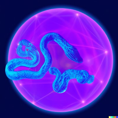 natalismoln's profile picture. Web Designer and web3 development.