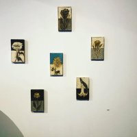 金子 (@kakado_kaneko) 's Twitter Profile