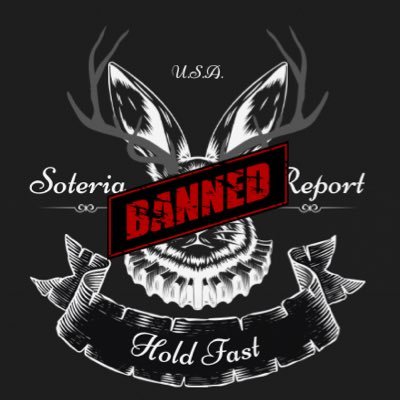 SoteriaReport's profile picture. I’ll be your huckle bearer. 🇺🇸 🇷🇺 🇬🇷 🇳🇴 🇩🇪