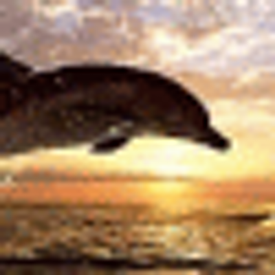subumatol's profile image