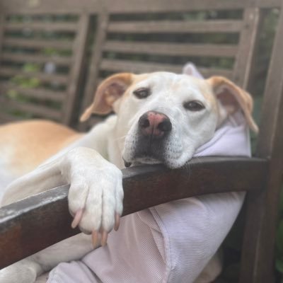 Elias5102's profile picture. 