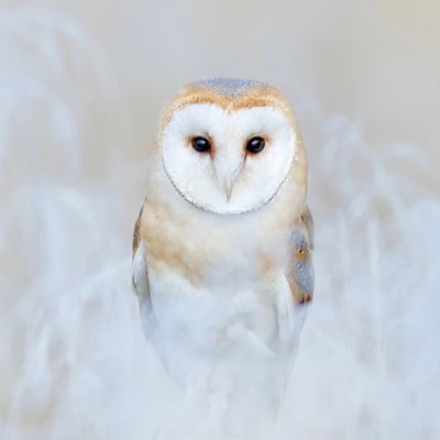 ErieCoastGooner's profile picture. Admirer of all girls and cute chubbies 😉. Like sexy legs & pretty feet. All photos are 18+// from public posts.