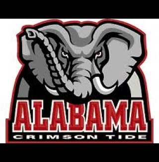 wyattb75's profile picture. 