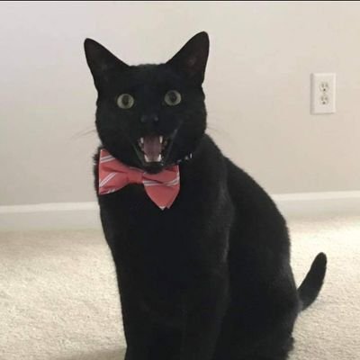 pharcyde1212's profile picture. 