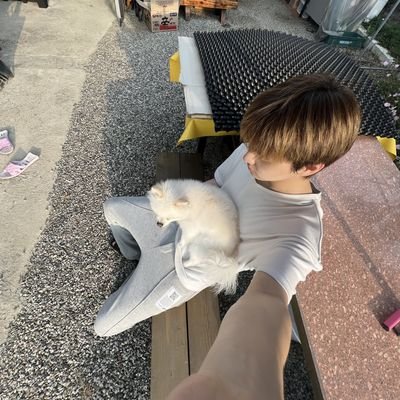 Ghosbae's profile picture. ARCADE: O