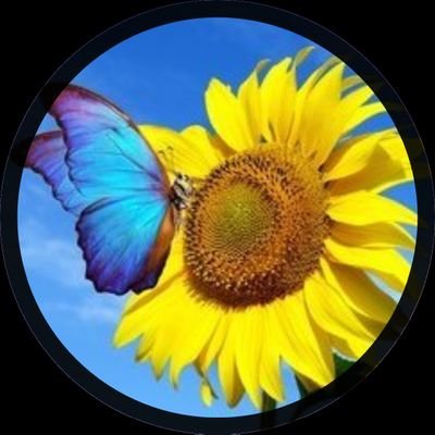 Butterfly_wishh Profile Picture