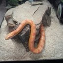 Stephen Salisbury - @Stephen4305812 - Twitter