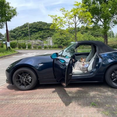 h25c3's profile picture. 一度しかない人生、精一杯楽しもう！クロス→ロードバイク。風を楽しむ事を知り、車はアクセラ→ロードスター紺白へ♡基本ポジティブ♪ 21/12ロードでソロライド中、軽トラに襲われ骨盤骨折。整体ピラティスでリハビリ中。日本の真ん中で ロドディプブルM42の会発起💙参加待ってます！