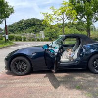 まりっぺ (@h25c3) 's Twitter Profile