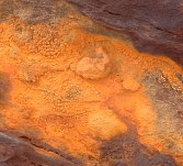 RustControl's profile picture. 