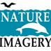 Nature Imagery (@natureimagery) Twitter profile photo Nature Imagery (@natureimagery) Twitter profile photo