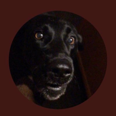 IcedDevo's profile picture. Retired burger flipper.