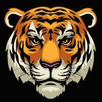 ππ
Έπ
½π
±π
°π
³ π
°ππ
Έπ
° (@sinbadasia) 's Twitter Profile