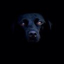 gilberto medina - @GilbertitoMS - Twitter