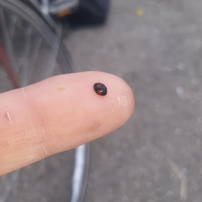 magy1508magy's profile picture. Artist