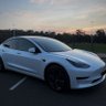 y_ev_'s profile picture. Dad of 2 🚙 #Tesla,#Powerwall2,#ModelY 4680⏳,Model3⚪️| Random gibberish| Football⚽️