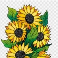 🍀Discern 🌻❤(@DiscernJoy) 's Twitter Profile Photo