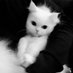 tay! (@withcorpse) Twitter profile photo tay! (@withcorpse) Twitter profile photo