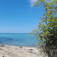 Murat (@murat12257661) Twitter profile photo