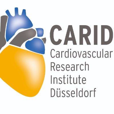 Offizieller Account des 2013 gegründeten Forschungsverbundes CARID - Cardiovascular Research Institute Düsseldorf. Header ©Universitätsklinikum Düsseldorf