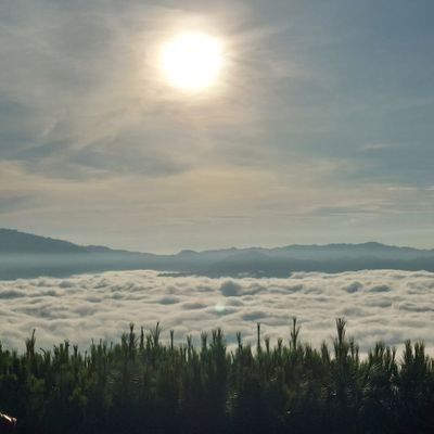 moy0825's profile picture. :)