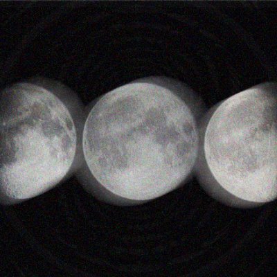 muro_ogg's profile picture. Producer