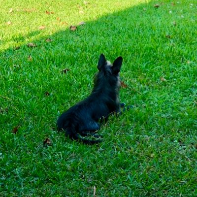 bonnieNclyde316's profile picture. Wifey to love of my life, 💜 blessed mom of 2 remarkable young men #LupusWarrior