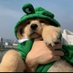 Rachel Gallagher (@pupu_ball) Twitter profile photo Rachel Gallagher (@pupu_ball) Twitter profile photo