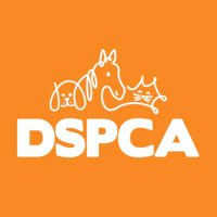 DSPCA(@DublinSPCA) 's Twitter Profile Photo