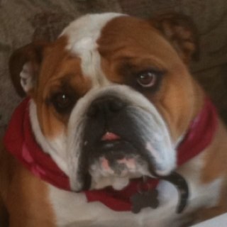 mrscarriere's profile picture. 