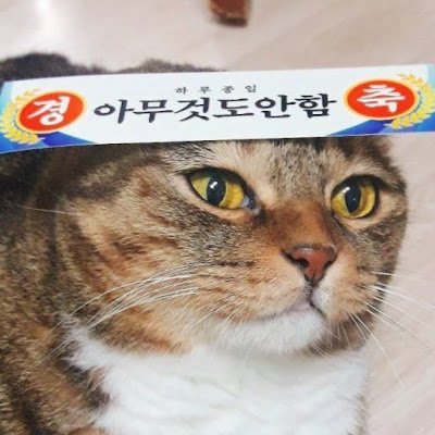 sshandle21's profile picture. 