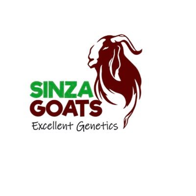 Sinza Goats