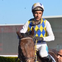 Mirsel Çetin (@mirselcetin) Twitter profile photo