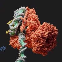EustermannLab (@eustermannlab) 's Twitter Profile