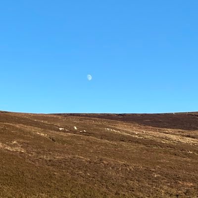 Kiely05Kiely's profile picture. 