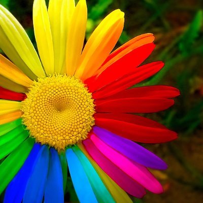 MerajFathi's profile picture. Content Creator and Graphic Designer 🎨🎬
Watch Digital Entertainment Content videos from my YouTube channel 👇