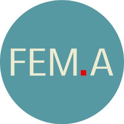 Verein_FEMA Profile Picture