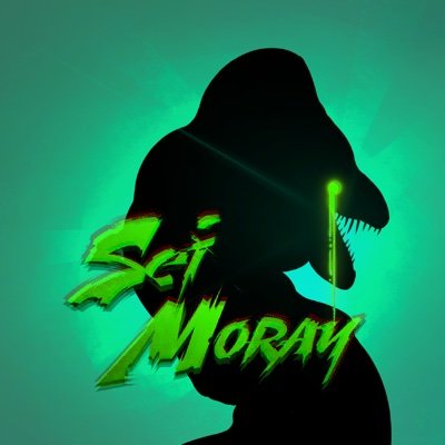 Moray - Sei Guardian, 3333 outstanding NFT collection on @seinetwork
👉 https://t.co/1wKKOk7Bpf