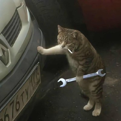 nannabunda's profile picture. BTC&BNB&SOL