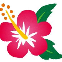 Hibiscus(ハイビスカス)Server (@hibiscus_arma3) 's Twitter Profile