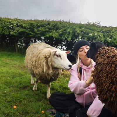 MA Human-Animal Interactions. Researcher, writer, advocate for all animals.