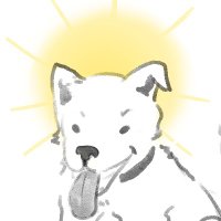 진도갓 (@jindogod) 's Twitter Profile Photo 진도갓 (@jindogod) 's Twitter Profile Photo