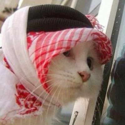 verily with every hardship comes ease
tawakkaltu Allah