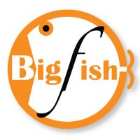 BigFish Technology(@bigfishtec) 's Twitter Profile Photo