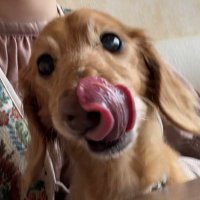 ちゃんどぅ (@omochando) Twitter profile photo