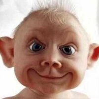 نيتشه (@logicalbald) 's Twitter Profile